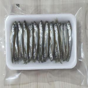 생물 빙어미끼 민물 장어낚시 바다낚시 선상 루어 찌 농어 우럭 광어 벵에돔 갈치