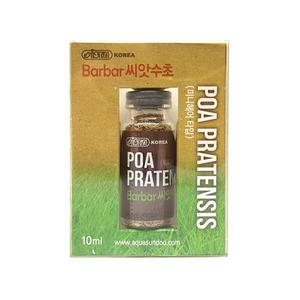 이스타 씨앗수초 (미니 헤어그라스) 10ml/전경수초