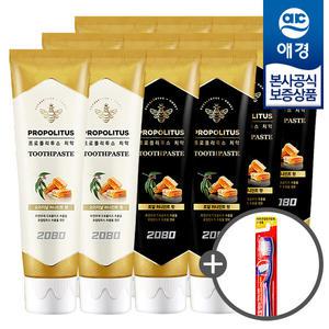 [애경] 2080 프로폴리투스 치약 100g x12개 +칫솔1입 증정