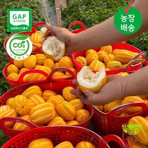 성주 참외 농장직송 중소과(일반용) 10kg 31-50과