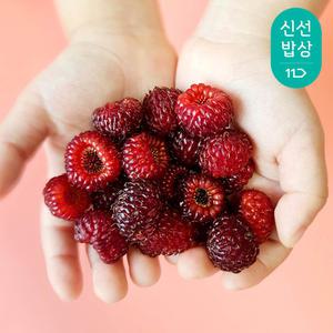 야생 햇 노지 산딸기 1kg 급냉