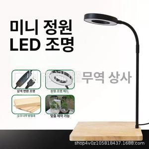테라리움 조명 비바리움 원목 USB 인테리어 등받침세트