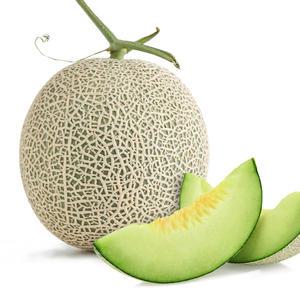 농협공판장 새벽경매 머스크 메론(특품) 4kg, 8kg 고당고 농산물 도매시장 고품질