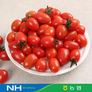 농협선별 빨강 스테비아 단마토 500gx4팩(1~3번과) / 부여산 대추방울토마토