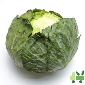 양배추 (3통)