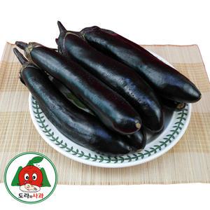 청정 영주소백산 햇가지 3kg