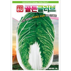 아시아종묘 씨앗 배추 골든글러브 100립