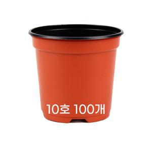 모두다 국내생산 플라스틱화분 플분 모종화분 이색포트 10호 적색 100개