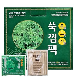 찜질팩 쑥핫팩 부광약품 온구기 쑥찜팩 15매입 + 전용벨트 1개입 세트