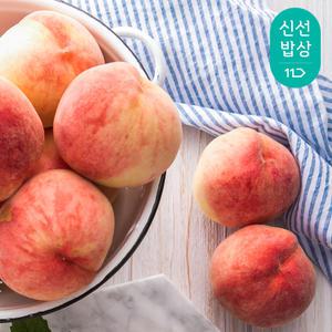 아삭함이 가득한 백도 딱딱이 복숭아 1.5kg (12-15과)