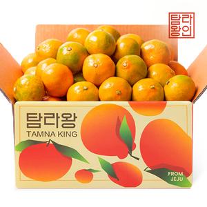 [탐라왕] 제주 하우스감귤 2.5kg