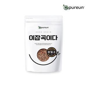 [이잡곡이다] 렌틸콩5kg