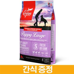 [간식증정] 오리젠 DOG 퍼피 라지 11.4kg 프리미엄