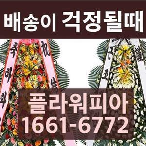 축하 근조화환 화환배달
