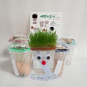 잔디인형 만들기 5개1세트 DIY 잔디 키우기