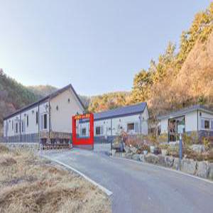 [경남] 다이노 꽃밭에서(경남, 고성)