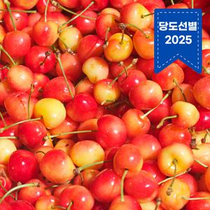 [월억도전]10713064 [자체출고] 레이니어체리