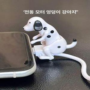 강아지충전기 틱톡 움직이는 C타입 1.2m 5핀