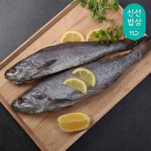 반건조 손질 민어 300g x 3팩 / 국내산 / 제수용