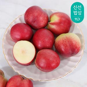 [6월 12일 본격 첫 출하] 경북 햇 신비 복숭아 (소과) 2kg 32과내외