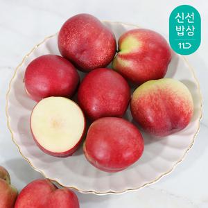 [6월 12일 본격 첫 출하] 경북 햇 신비 복숭아 (소과) 1kg 16과내외