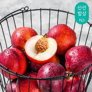 [6월 12일 본격 첫 출하] 경북 햇 신비 복숭아 (중과) 1kg 12과내외