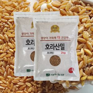 호라산밀 4kg (2kgx2봉) / 고대곡물 통곡물 안전박스포장