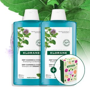 [쿨링/유분케어] 아쿠아민트 샴푸 400ml 2개 (+세트케이스)