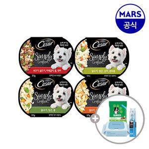 시저 심플리 크래프티드 15개골라담기+아이엠즈100g+칫솔+베베숲물티슈1팩