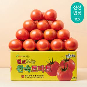 [품질보장] 달콤트리 완숙토마토 5KG (소과)