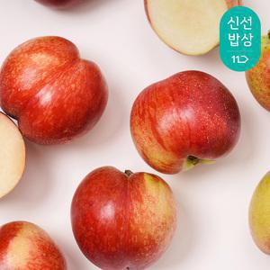 [품질보장]고당도 복숭아 신비복숭아 중소과 중과(로얄과) 1kg 2kg