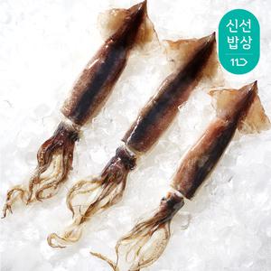 국내산 선동 급냉 햇 초코 오징어 1kg(4~6마리)
