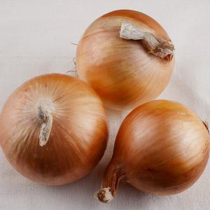 화산마을 단단하고 야무진 양파 10kg(장아찌용)