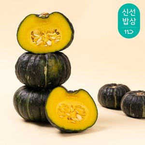 [품질보장] 과일꾼 미니 밤호박 단호박 국내산 보우짱 2kg