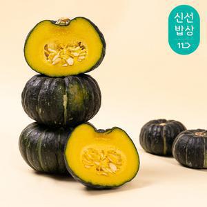 [품질보장] 과일꾼 미니 밤호박 단호박 국내산 보우짱 2kg