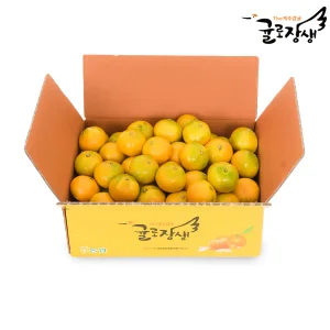 [내일도착] 제주농협 귤로장생 하우스감귤 2kg 중대과 (L-2L)
