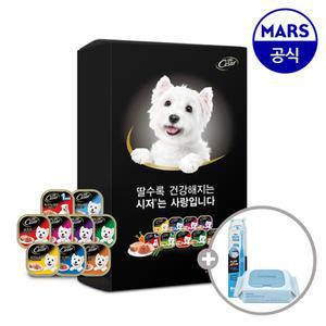 [11번가 단독팩] 시저캔 26개 골라담기+애견칫솔+베베숲물티슈1팩