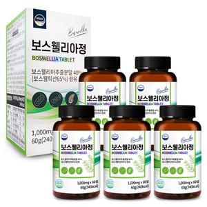 프리미엄 보스웰리아정 1,000mgx60정 5개 10개월분 부모님 건강식품 선물 5+5