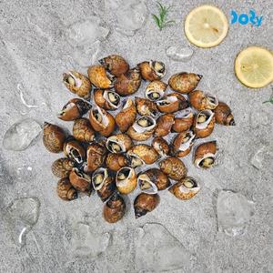 [맛도리] 입구막 제거 바로먹는 자숙 범고동 500g 2팩 + 초장 4팩