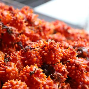 [롯데백화점]친환경팔도 통영 제철 손질 깐멍게 800g