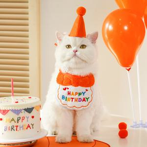 고양이 생일 파티 고깔 모자 케이프 세트 강아지 돌잔치 반려묘 반려견 꼬깔 애견 턱받이 용품 사진 소품 스카프 잔치