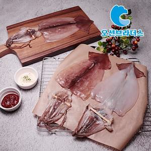 촉촉한 반건조 오징어 600g / 10마리
