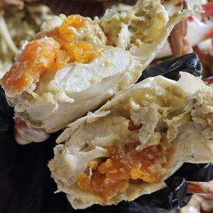국내산 제철 활 알배기 암꽃게 2kg