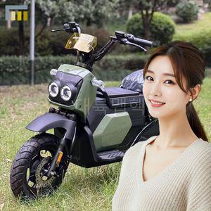 레져바이크 전기자전거 전동 자전거 바이크 수납함 줌머 그린