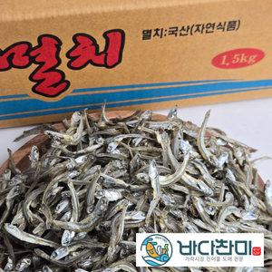 바다찬미 국내산 햇 가이리멸치 자멸 1.5kg 원물박스 / 고추장 찍어먹는 멸치 안주용 볶음용 건어물