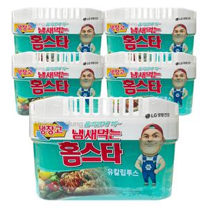 냄새먹는 홈스타 냉장고용 유칼립투스 420g 5개 / 냉장고탈취제