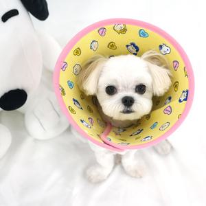패리스독 피너츠 엘리자베스 넥카라2