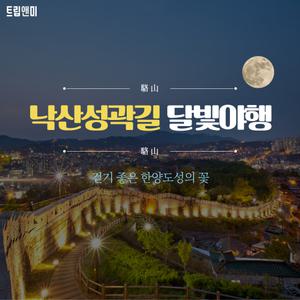 [반일][서울낙산성곽길 달빛야행] 걷기 좋은 한양도성의 꽃 / 낙산성곽길 문화해설투어 도보 역사 교육 여행