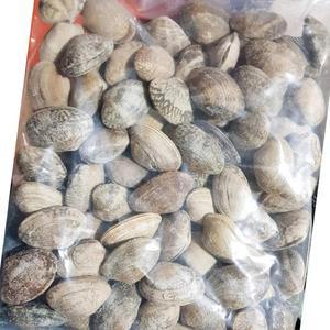 피바지락 600g x26 식자재 업소용 대용량