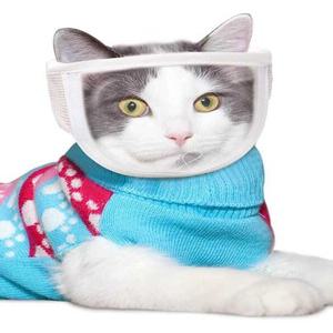 고양이 얼굴 커버 깔대기 보호대 소프트 흰색 S